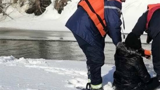 Спасатели достали 12-летнюю девочку из ледяной Аткары