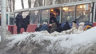 Саратовцы карабкаются на трамвайные остановки "горными козликами"