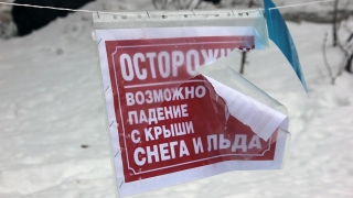 Пласт подмосковного снега сошел на приехавших из Саратова двух детей и их мать