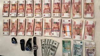МВД об аресте мошеннической ОПС: изъяты золотые слитки и премиальные иномарки