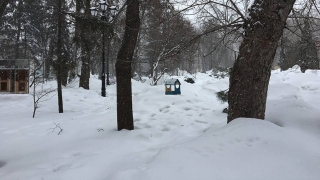Саратовцев ждет суббота с морозом и северным ветром