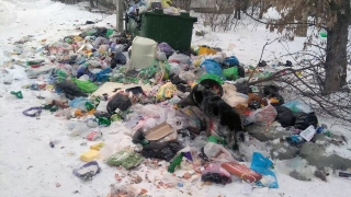 Жители Энгельса: люди платят, а мусор не вывозят