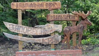 Виновник пожара в Хвалынском парке заплатит 373 тысячи рублей