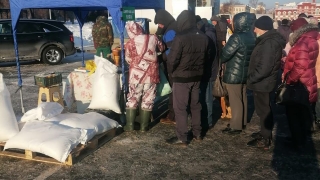 В выходные в Саратове откроются 13 точек по продаже сахара. Адреса