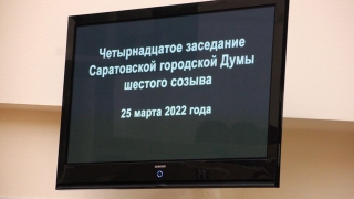 На отлов бездомных собак в Саратове выделили еще 15 млн рублей