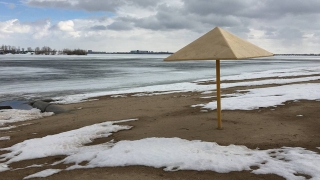Теперь аномальное тепло: в Саратовской области ожидается до +15°