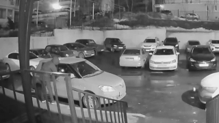 В Заводском районе ночью под камерой вскрыли еще четыре автомобиля