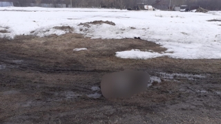 В поселке Ким нашли труп мужчины с ссадинами на голове