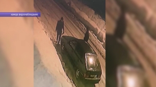 Полицейские поймали с поличным серийных дачных воров