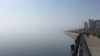 Синоптики обещают саратовцам в понедельник до +20°