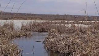 В Еремеевке спасатели достали из водоема тело пенсионера