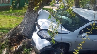 В Балашове женщина на "Шевроле" врезалась в дерево