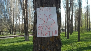 ОНФ выразил протест вырубке парка в Балакове под "Академию футбола"