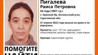 Под Энгельсом пропала женщина в коричневой куртке