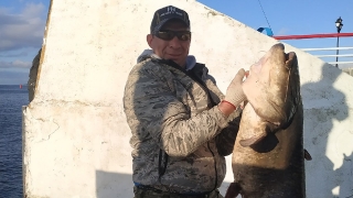 На набережной Саратова рыбак поймал 27-килограммового сома