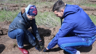 Сотрудники "Саратовэнерго" высадили 2500 сеянцев сосны
