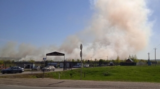 В Саратове горят посадки у городского кладбища. Погост заволокло дымом