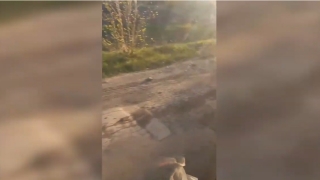 "Страшно трясет": дачники из Широкого Буерака жалуются на дорогу с ямами