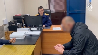 Гибель саратовской шахматистки. Владельца собак арестовали, возбуждено еще одно дело