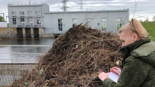 В канале под Энгельсом рыбаки нашли труп неизвестного