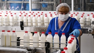 Производители молока и соков намерены сократить ассортимент