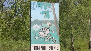 Сегодня отмечается Всемирный день окружающей среды