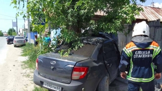 "Гранта" врезалась в дерево. Погибли водитель и 16-летний пассажир