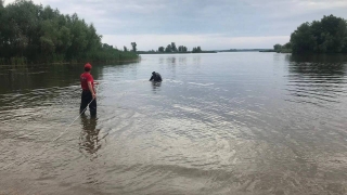 На волжской турбазе в Энгельсе утонул мужчина