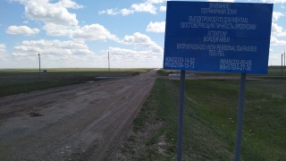 Из Саратовской области в Казахстан не выпустили еще 10 тонн гречки