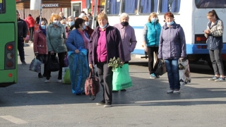 В Саратове меняется расписание двух дачных автобусов