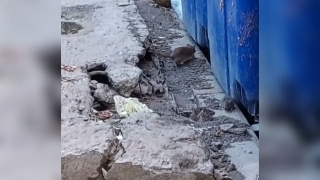 Жители Заводского района: "Скоро крысы вынесут не только мусорку"
