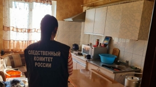 Пьяный саратовец убил мать пятью ударами ножа