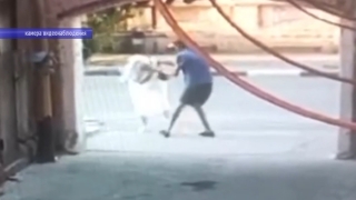 В Энгельсе грабитель срывал с женщин цепочки. Видео