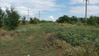 В поле под Ершовом найдено тело пропавшего байкера