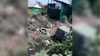 Жители Энгельса о "помойке" в центре города: "Это просто ужас"