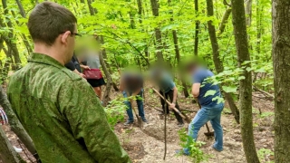 В лесу на территории Саратова обнаружены части человеческого тела