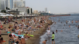 Волга "зацвела". На новом пляже Саратова временно запретили купаться