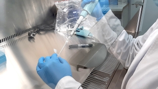 Из-за роста заболеваемости ковидом и ОРВИ саратовскую больницу закрыли на карантин