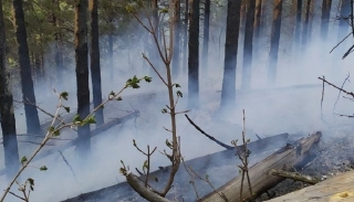 В Саратовской области за год стало в шесть раз меньше лесных пожаров