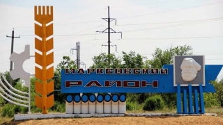Саратовец обнаружил в лесополосе труп мужчины