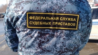 В Саратовской области официально уничтожат "Воробушка снежного"