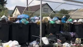 Жители Заводского района: мусор вывозят только на бумаге