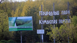 Саратовцев просят не заезжать на Кумысную поляну на мотоциклах и квадроциклах