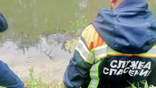 Спасатели обнаружили в Медведице тело пропавшего грибника