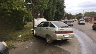 На Технической водитель "15-й" затормозил в дерево