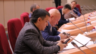 Гордума поддержала отмену безлимитных проездных для льготников
