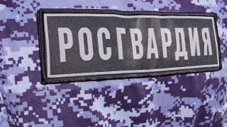 Росгвардейцы пришли на помощь упавшей в овраг пенсионерке