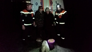 Спасатели вывели из леса двух заблудившихся женщин с полными ведрами грибов