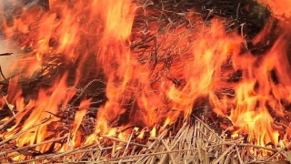 В саратовском селе сгорело 25 тонн сена
