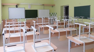 На карантине по ОРВИ семь саратовских школ и 115 классов